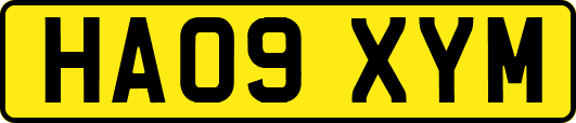 HA09XYM