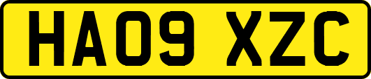 HA09XZC