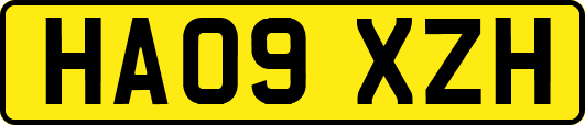 HA09XZH
