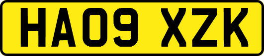 HA09XZK
