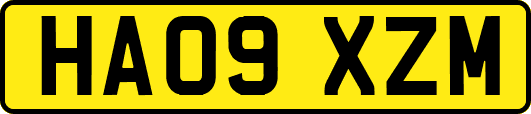 HA09XZM