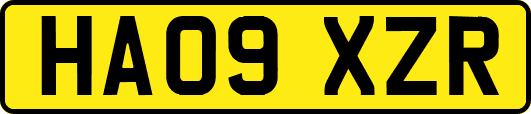 HA09XZR