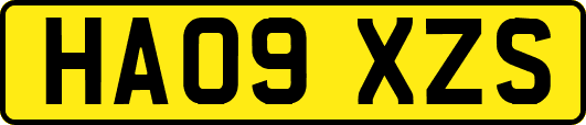 HA09XZS