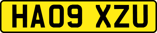 HA09XZU