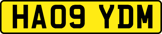 HA09YDM