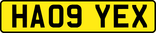 HA09YEX