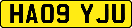 HA09YJU