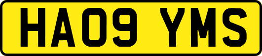 HA09YMS