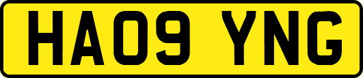 HA09YNG