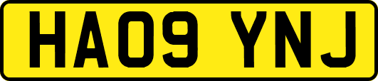 HA09YNJ