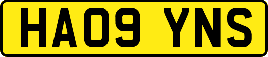 HA09YNS