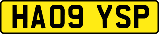 HA09YSP