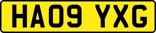 HA09YXG