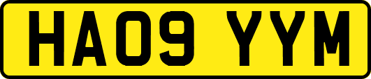 HA09YYM