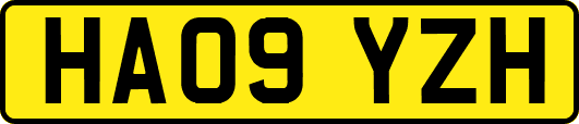 HA09YZH