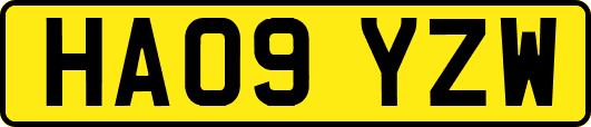 HA09YZW