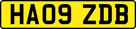 HA09ZDB