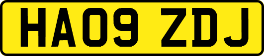 HA09ZDJ