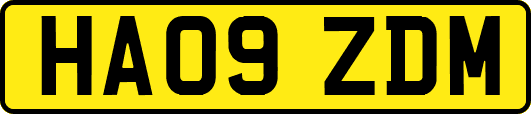 HA09ZDM