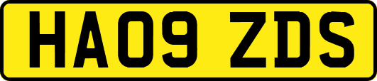 HA09ZDS