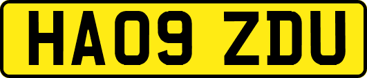 HA09ZDU