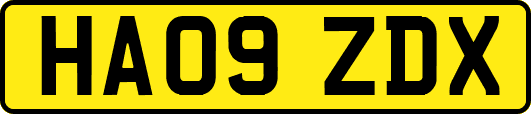 HA09ZDX