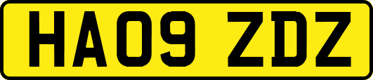 HA09ZDZ