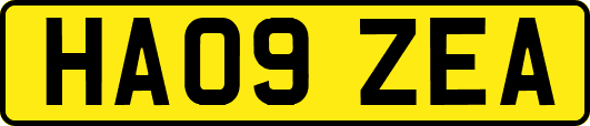 HA09ZEA