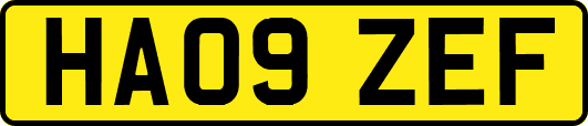 HA09ZEF