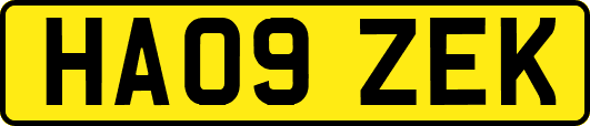 HA09ZEK