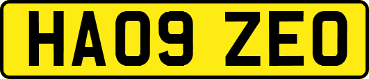 HA09ZEO