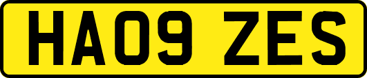 HA09ZES