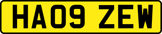 HA09ZEW