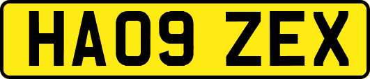 HA09ZEX