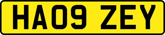 HA09ZEY