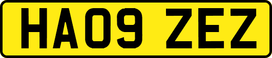 HA09ZEZ