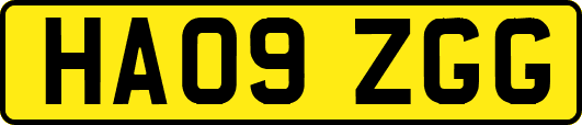HA09ZGG