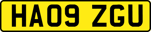 HA09ZGU