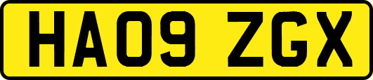 HA09ZGX