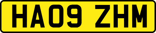 HA09ZHM