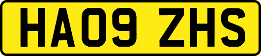 HA09ZHS