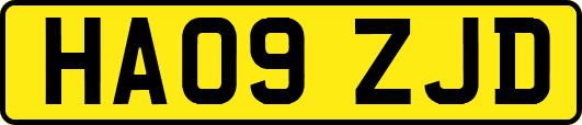 HA09ZJD
