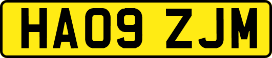 HA09ZJM