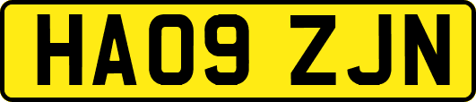 HA09ZJN