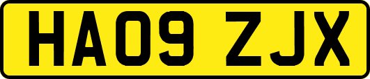 HA09ZJX