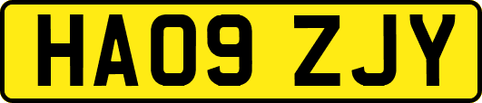 HA09ZJY