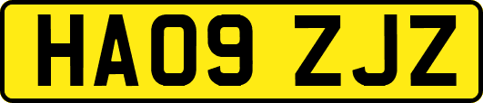HA09ZJZ