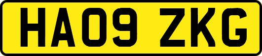 HA09ZKG