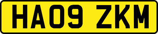 HA09ZKM