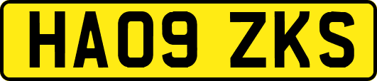 HA09ZKS